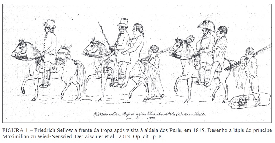 Friedrich Sellow a morte do botânico alemão em naufrágio no Rio Doce